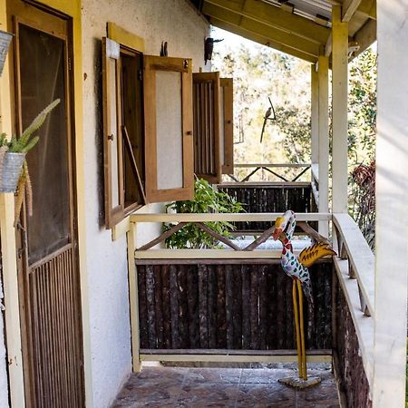 Pine Ridge Lodge San Ignacio Dış mekan fotoğraf