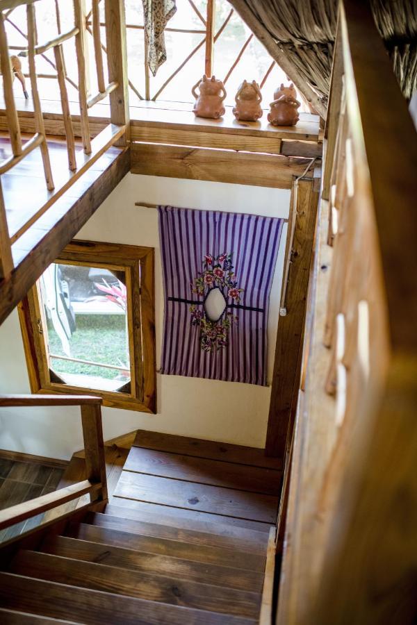 Pine Ridge Lodge San Ignacio Dış mekan fotoğraf