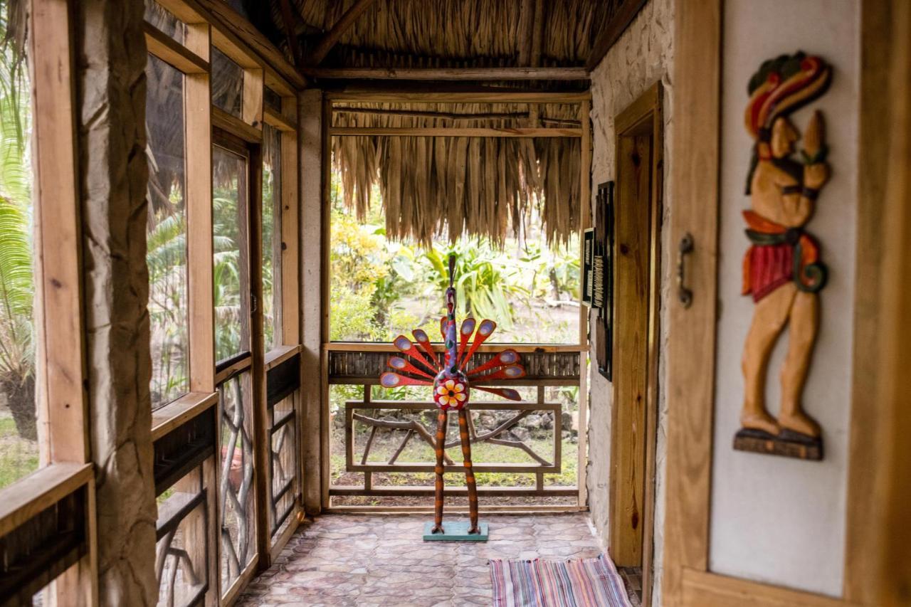 Pine Ridge Lodge San Ignacio Dış mekan fotoğraf