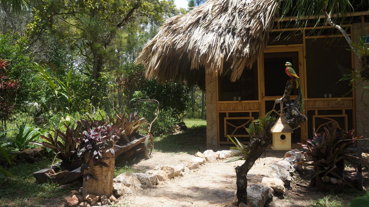 Pine Ridge Lodge San Ignacio Dış mekan fotoğraf
