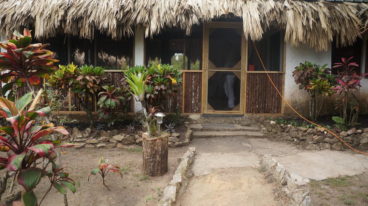 Pine Ridge Lodge San Ignacio Dış mekan fotoğraf