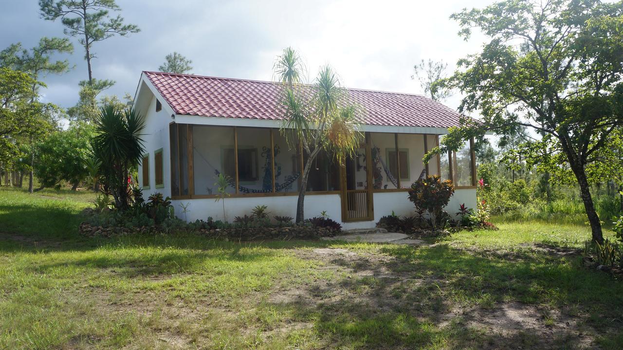 Pine Ridge Lodge San Ignacio Dış mekan fotoğraf